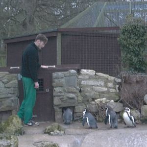 Time for bed with madgeandshane, 31st January 2015