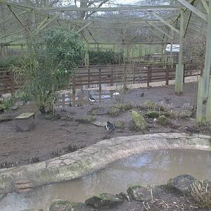 Is milky water spreading throughout Yorkshire? 1st February 2015