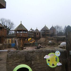View of Meerkat enclosure