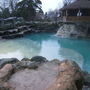 View of Penguin exhibit