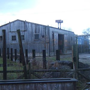 View of the Rothschild Giraffe House