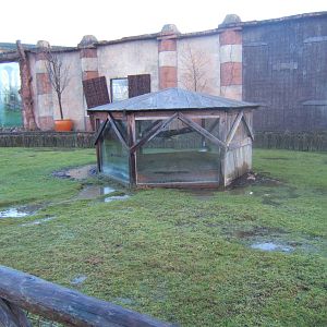 View of Sulcatta Tortoise House