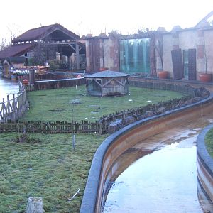View of Sulcatta Tortoise House and Enclosure