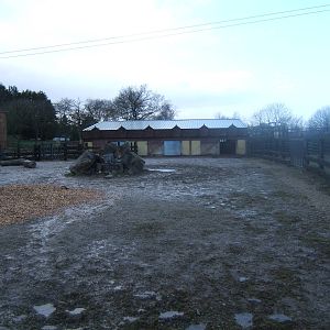 View of White Rhino House and hard standing yard