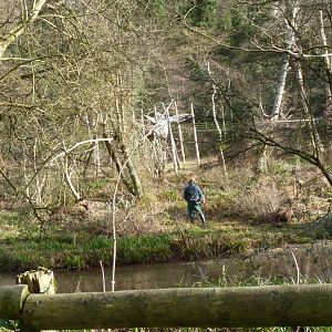 Large orangutan Island, February 2015