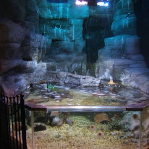 View of exhibit