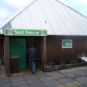 Seal Rescue Hospital