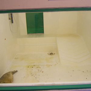 View of Seal Rescue pools