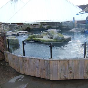 View of Common Seal Pool