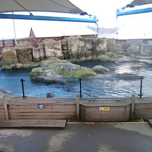 View of Common Seal Pool