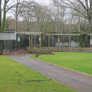 Crescent Aviaries 2015