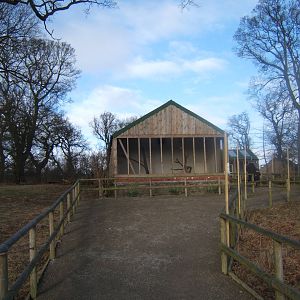 View of Burrowing Owl aviary