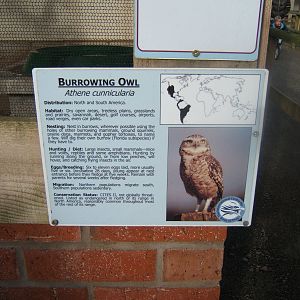 View of signage