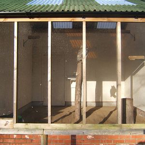 View of Great Horned Owl Aviary