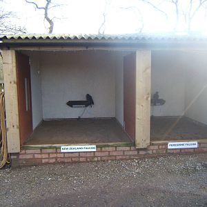 View of part of the mews