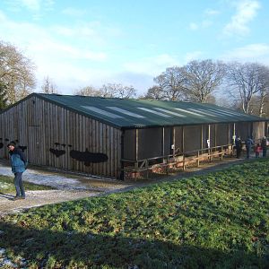 View of aviary block
