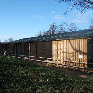 View of aviary block