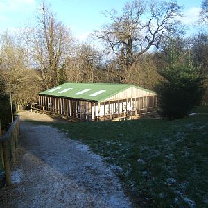 View of Owl and small Falcon block