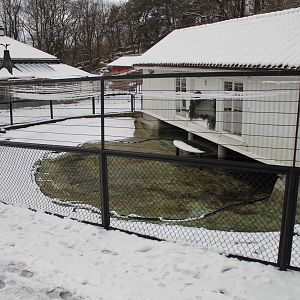 Old Humboldt Penguin?s exhibit