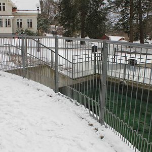 Humboldt penguins exhibit