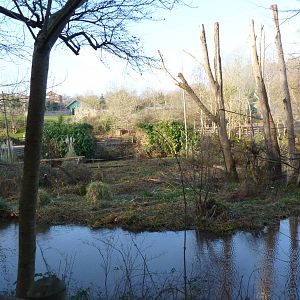 Large Orangutan Island, February 2015 #2