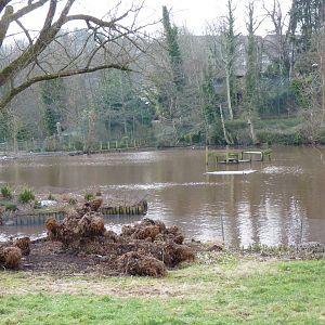 The Mystery of the Lake, February 2015 #1