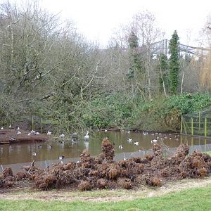 The Mystery of the Lake, February 2015 #2