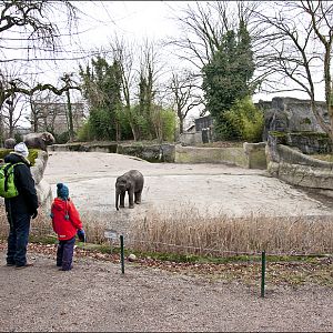 Elephant enclosure at Hamburg