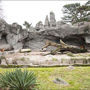 Lion enclosure at Hamburg