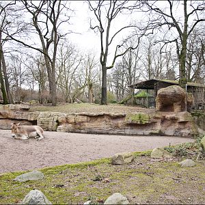Desert enclosure at Hamburg