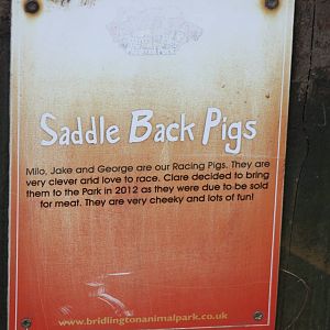 Signage, 29th October 2014