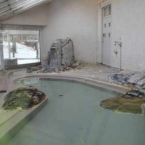 The Bird house - penguins indoor exhibit