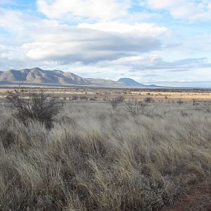 Mkomazi National Park