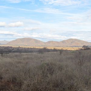 Mkomazi National Park