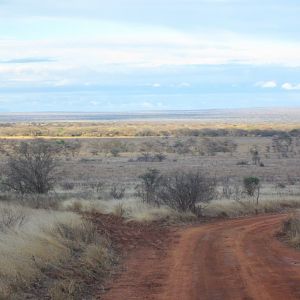 Mkomazi National Park