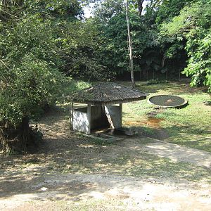 Common Hippo enclosure