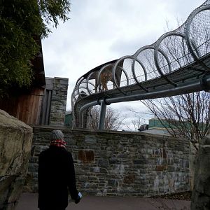 Zoo 360: Big Cat Walkway