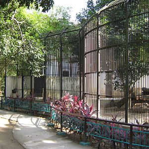 tiger cages