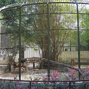 tiger cages