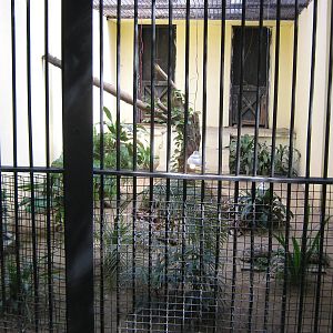cage for Burmese Star Tortoises (Geochelone platynota)
