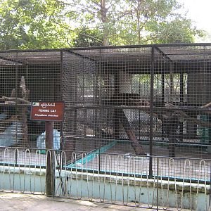 cages for Fishing Cats (Prionailurus viverrinus)