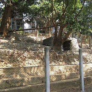 stepped deer enclosure