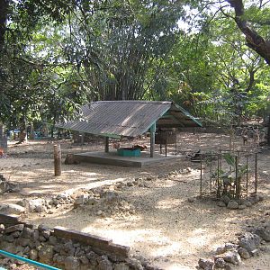 deer enclosure (Common Muntjac and Hog Deer)