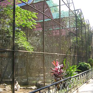 aviaries