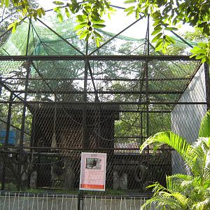 cage for Hoolock Gibbons (Hoolock hoolock)