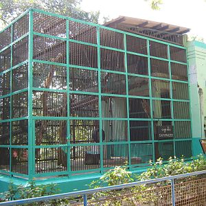 Chimpanzee cage