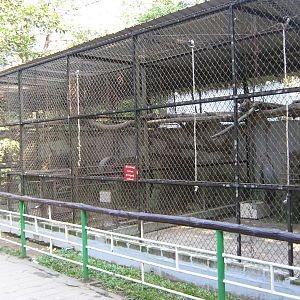 macaque cages