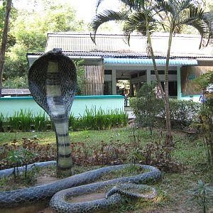 Reptile House exterior