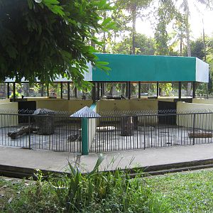 pens for Asian Crested Porcupines (Hystrix brachyura)