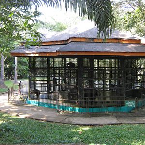 cage for Sun Bears (Helarctos malayanus)